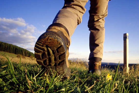 Wandern im Upland