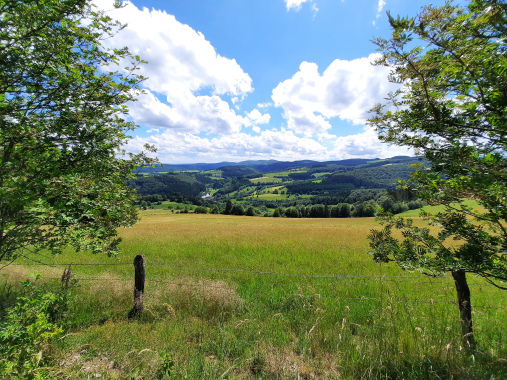 Landschaft Willingen